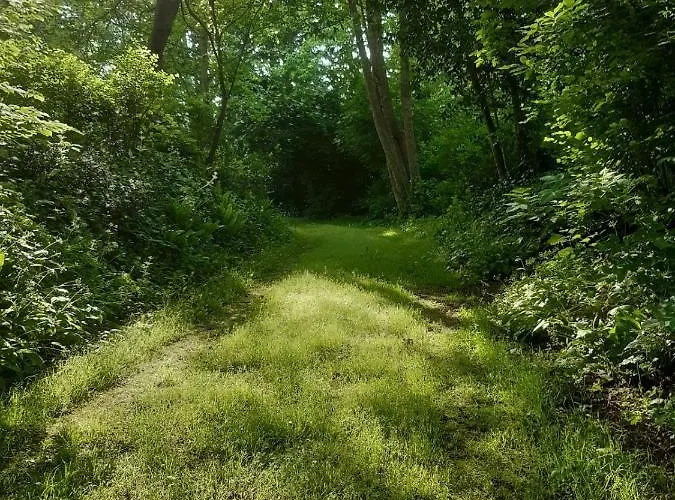 La Maison Pelloquin 4*