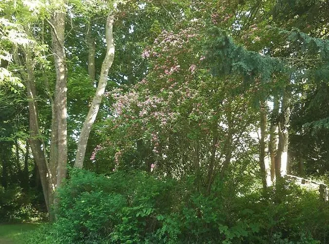 La Maison Pelloquin B&B