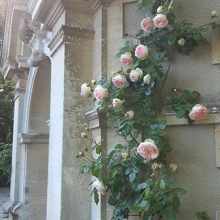 La Maison Pelloquin