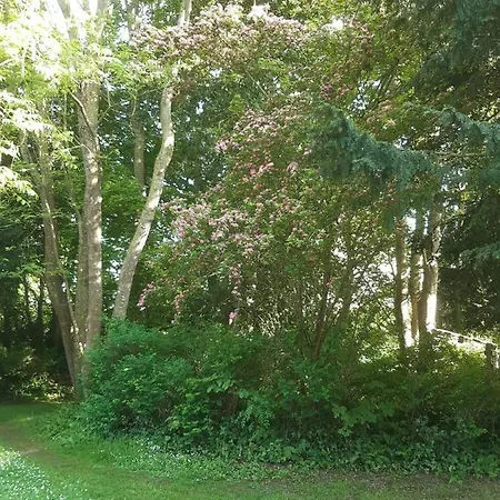 La Maison Pelloquin B&B