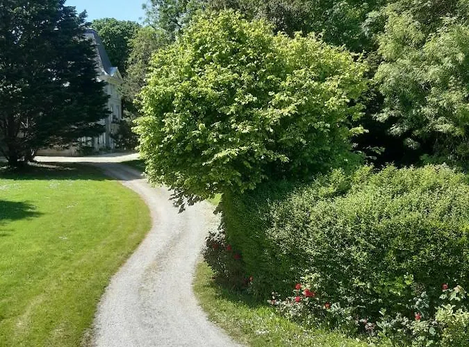 Bed & Breakfast La Maison Pelloquin