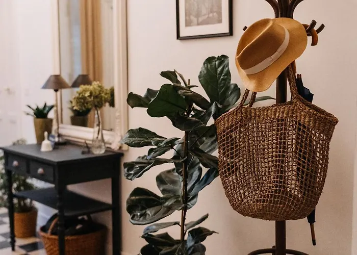 Bed & Breakfast La Maison Pelloquin